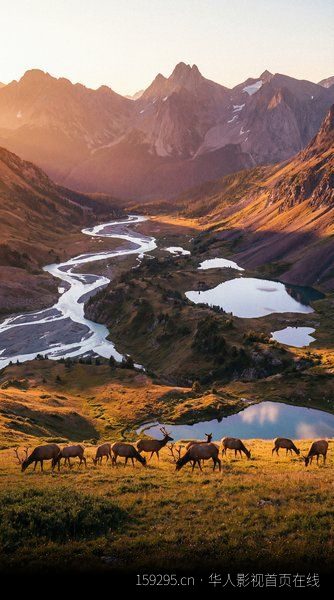 精选3D特色漫改电影 顶级工作室幕后纪录